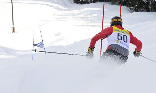 Vereinsmeisterschaft Ski Alpin 2023 + Kinder-Skirennen